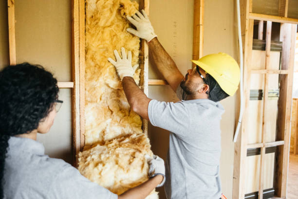 Types of Insulation We Offer in Baden, PA